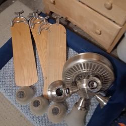 Stainless Steel Ceiling Fan