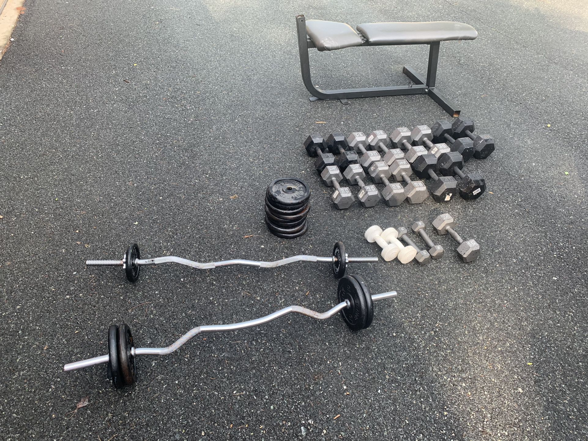 Complete workout set bench, dumbbells, plates and bars over 600lbs