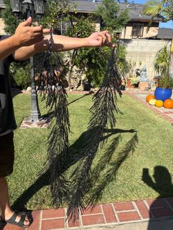 Halloween  Garland