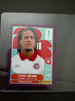 World Cup  panini