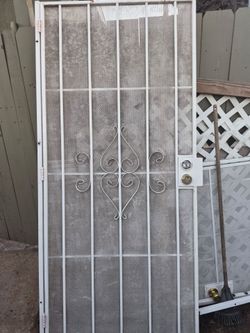 Security door