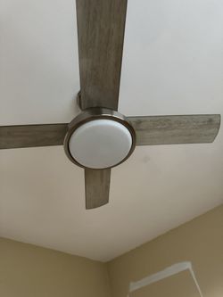 3 Fan Lights 