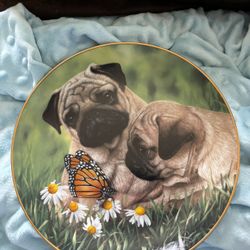 Pug Collector Plate