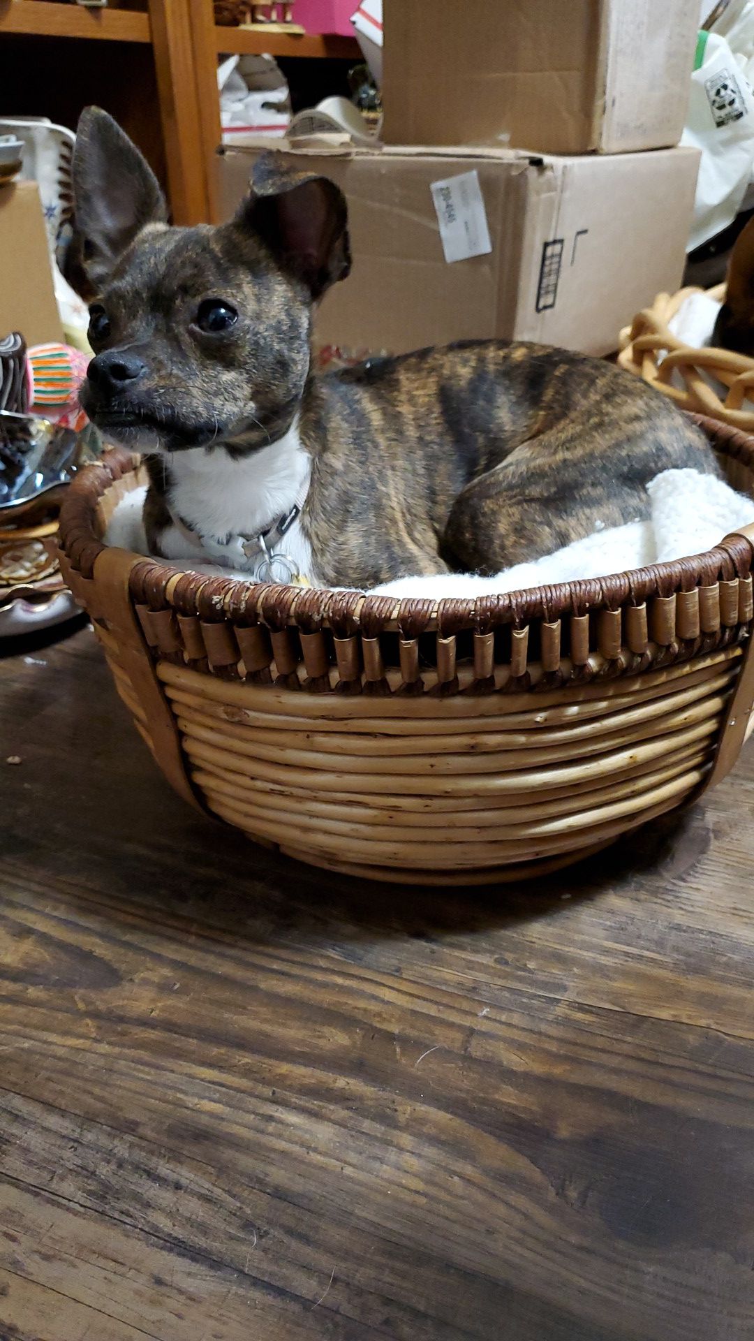 Quality basket