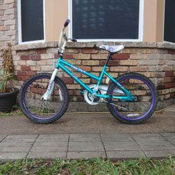 Dynacraft Bike 