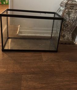 10 gallon tank