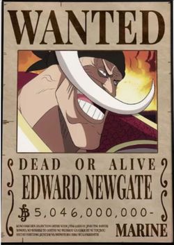 One Piece Wanted Edward Newgate Wall Poster 24"x36"