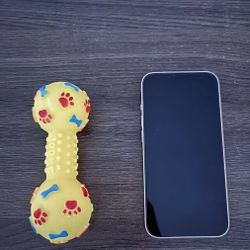 Small Dog Squeaky Toy