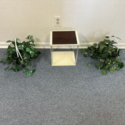 Fake Plants and Stand 