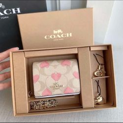 Coach  Mini Wallet On A Chain In Signature Canvas