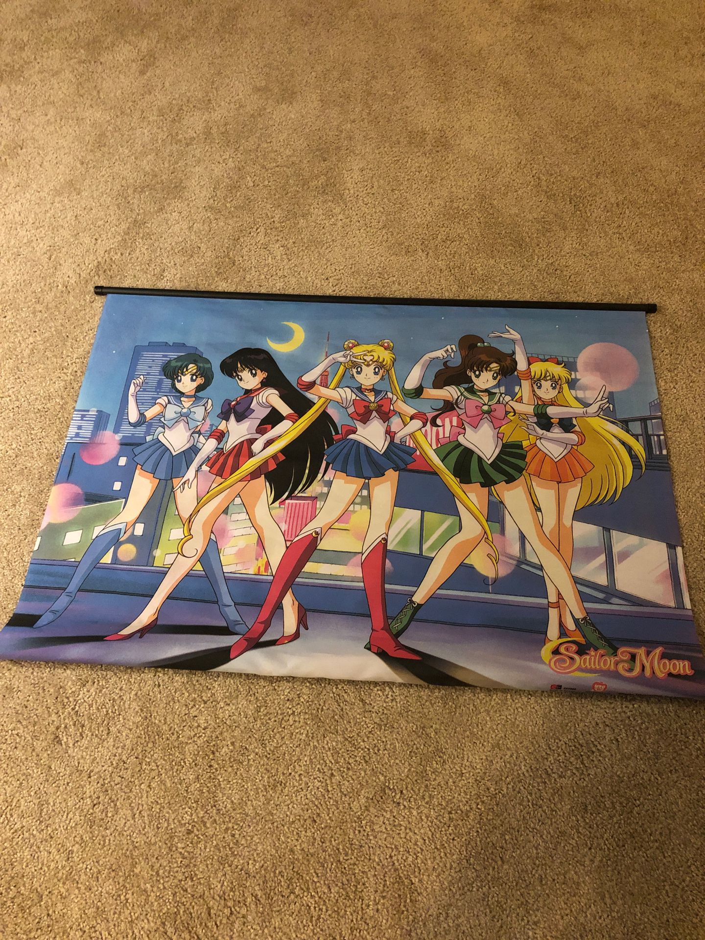 Sailor moon banner