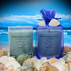 Scentsational Soy Candles 14 oz