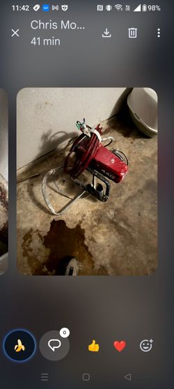 Paint sprayer
