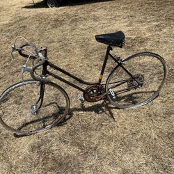 Vintage schwinn Bike 