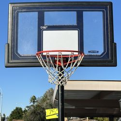 Lifetime Basketball Hoop