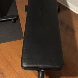 Weight/ Workout Bench