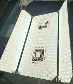 LED Grow Light