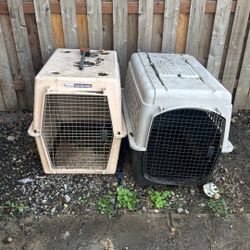 Dog Kennels