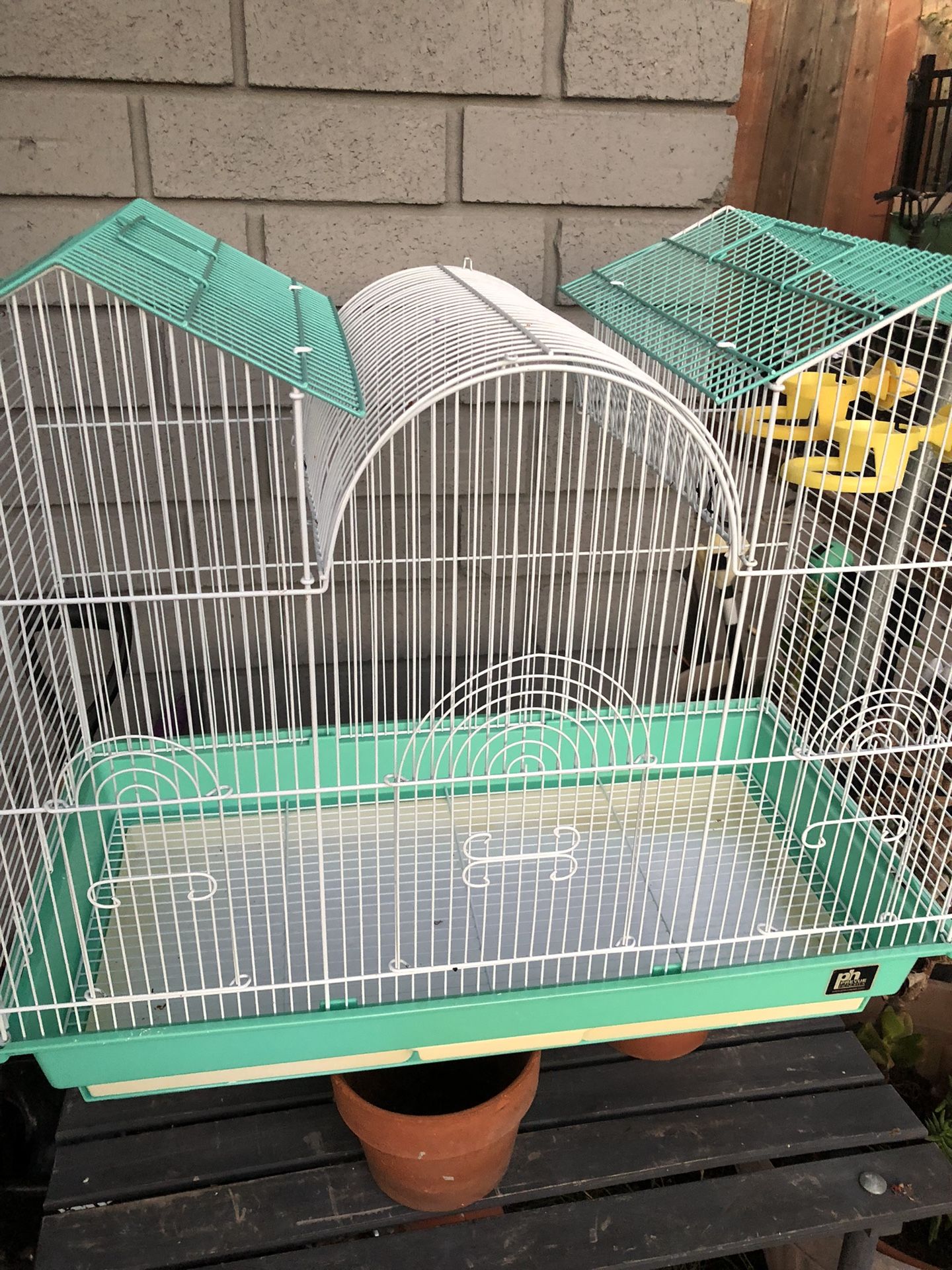Bird Cages