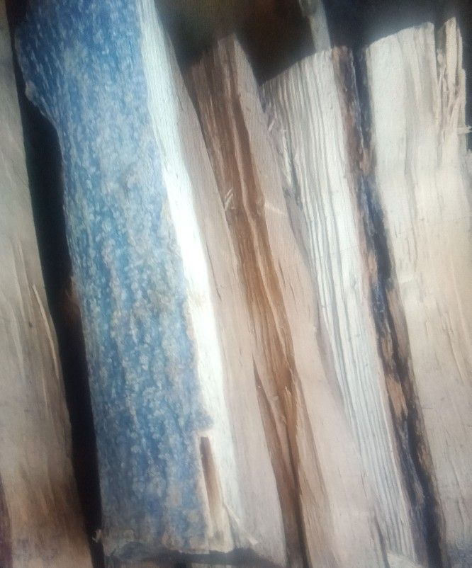 Bundles Of Seasoned Firewood