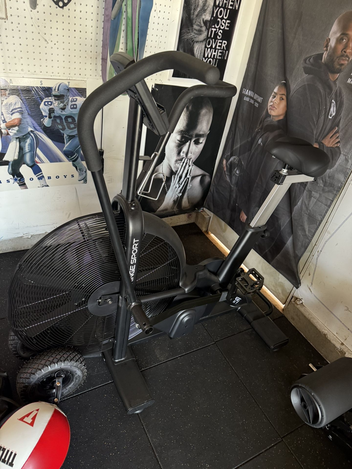Fringe Sport Raptor Assault Bike Belt Driven