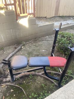 Workout Bench