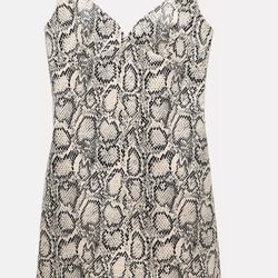 Zara dress 