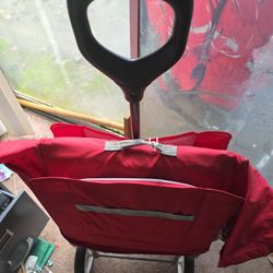 Radio Flyer Wagon