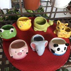 Decorative Colorful Ceramic Pot For Small Plants.  