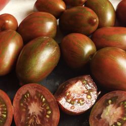 Heirloom Tomato Seedlings $5