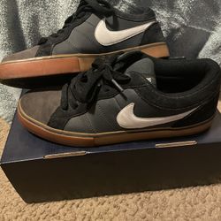 Nike SB Shoes