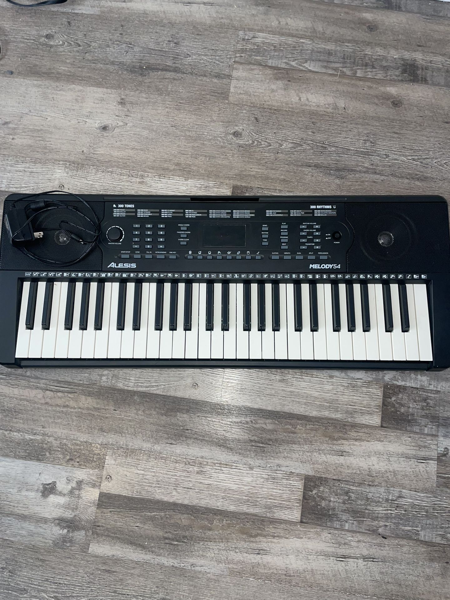 Electric Keyboard Digital Piano with 54 Keys