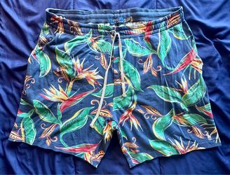 Ralph Lauren Blue Tropical Print Shorts