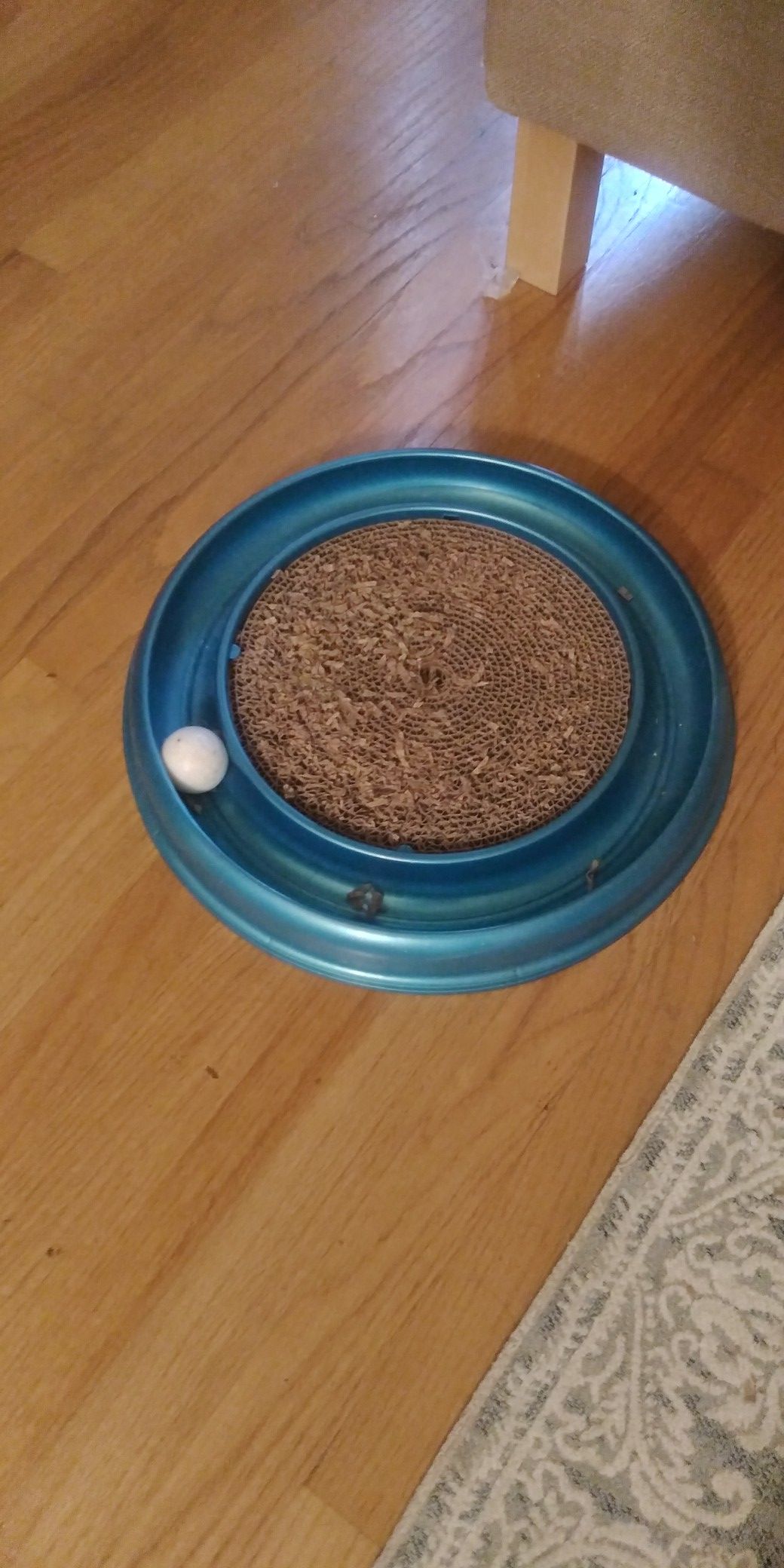Cat scratcher toy with ball chaser