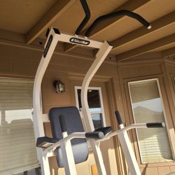 Nautilus Pull Up Dip Leg Raise Machine