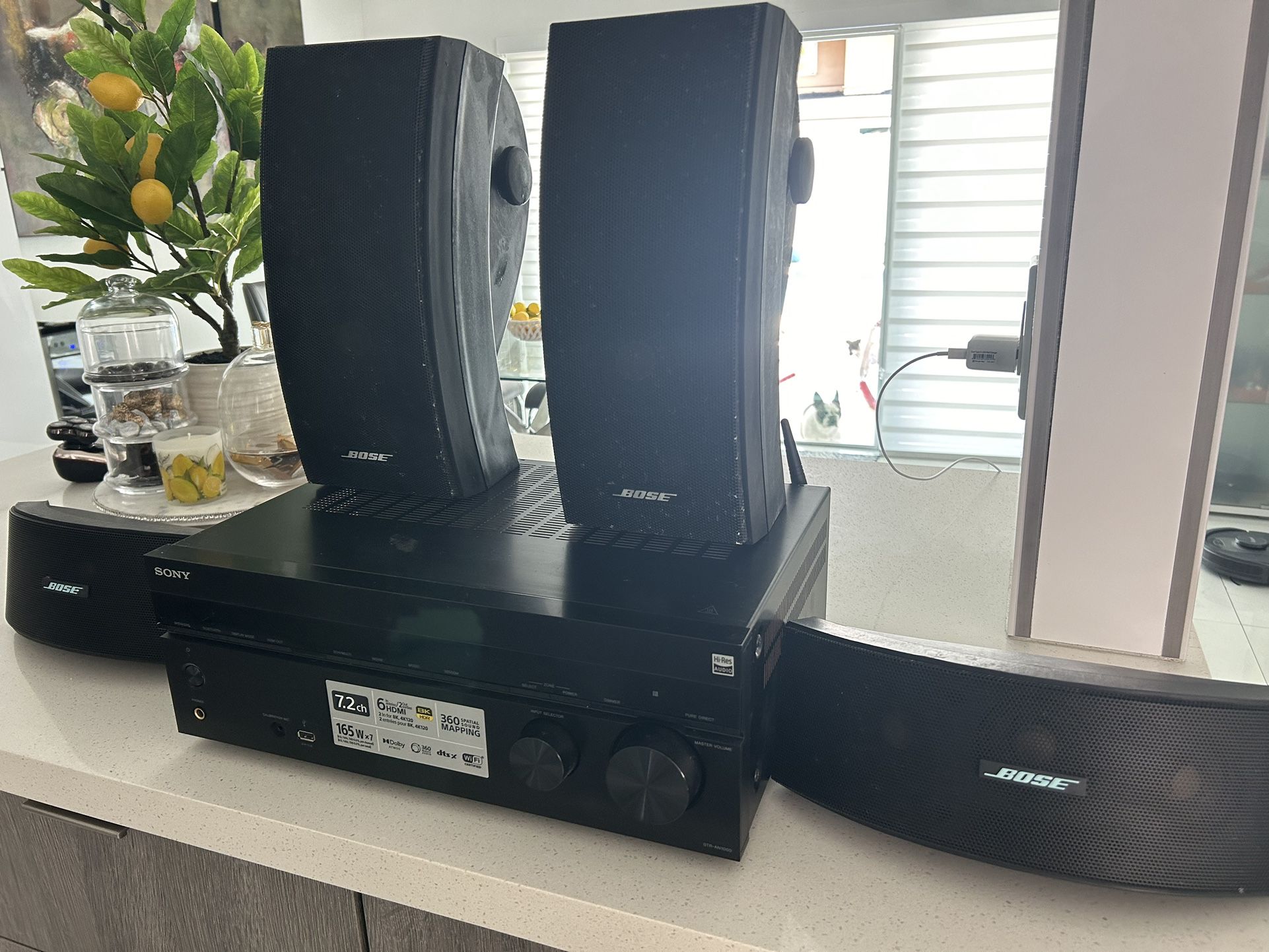 Equipo De Sonido Exterior Bose