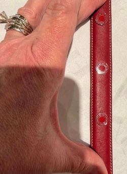 Coach Pet Collar