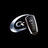 Culichi Keys 562