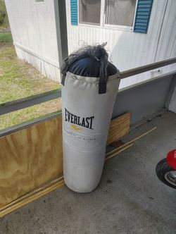 Everlast Punching Bag 75.00