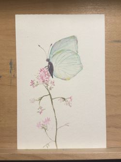 Tranquility And A Butterfly