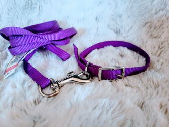 Dog Collar 8", 10", 12" Metal Buckle & 4' Leash Set Purple Nylon XS Pet Puppy
