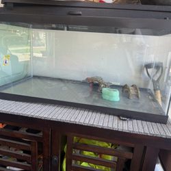 Fish / Reptile Tank 
