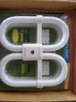 Compact Fluorescent Bulb 60 Watt