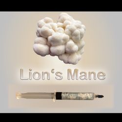 Lions Mane Syringe 