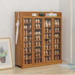 Shoe Cabinet With Acrylic Doors