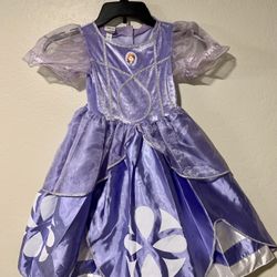 Princess Sophia Little Girls Dress