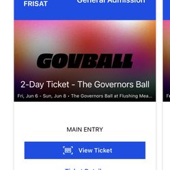 Govball Ticket (there’s 2)