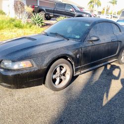 2000 Mustang 