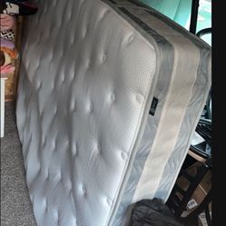 Queen Mattress 