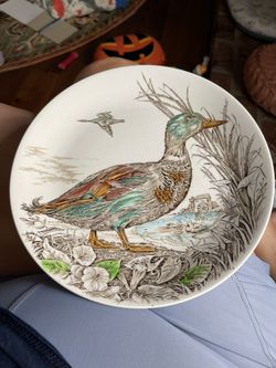 Wild Birds Of Health & Moorland